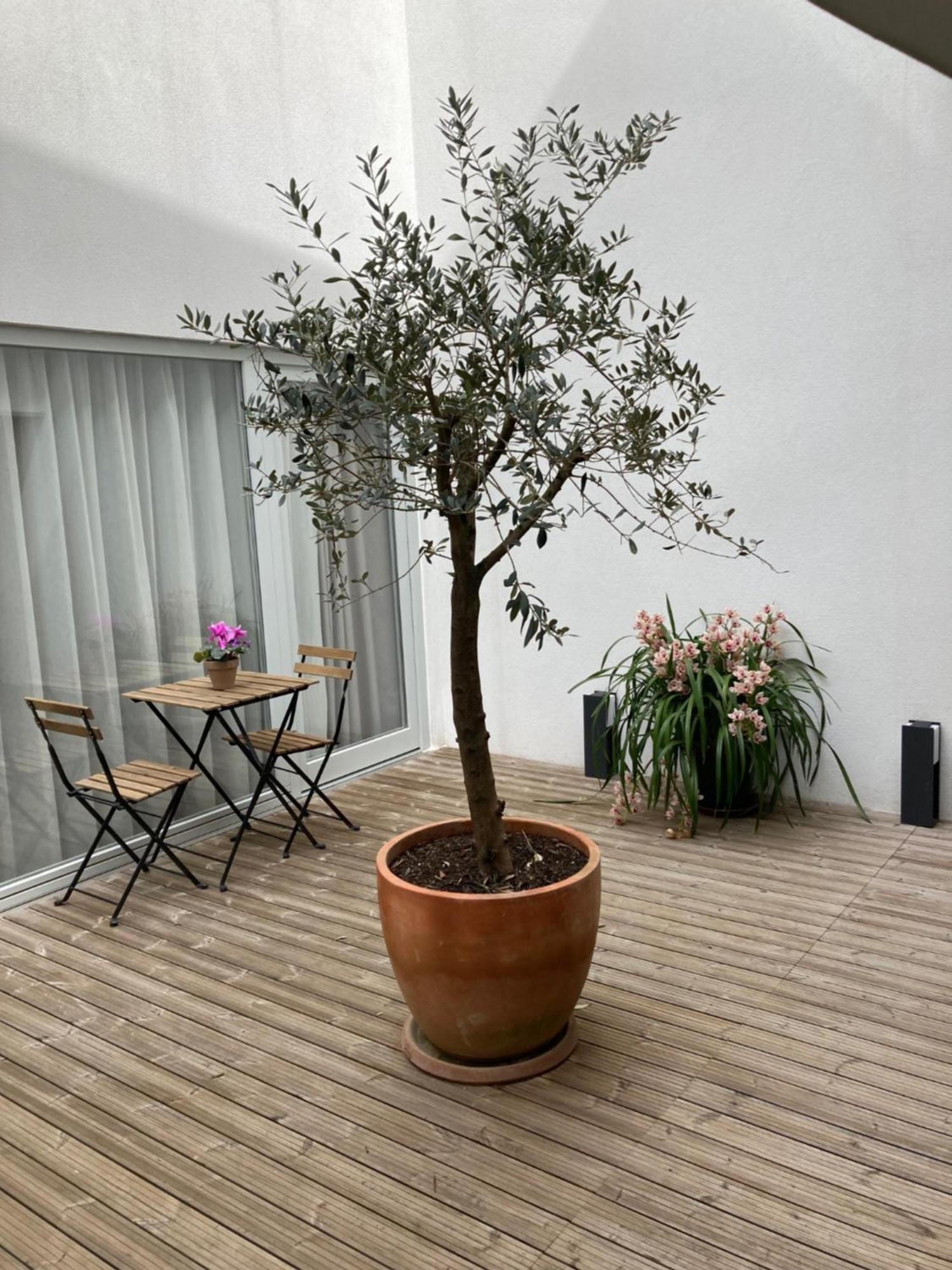 Ribeira Flores 59 Downtown Apartments Porto Exterior photo